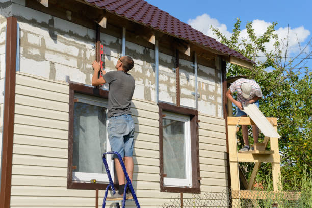 Reliable Wenona, IL Siding Solutions